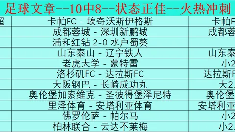 我国网球好手成功获得新加坡公开赛外卡，争夺正赛席位